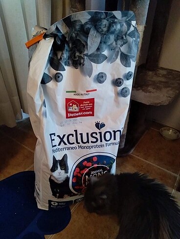 8.7 kg Exclusion balıklı kısır kedi maması