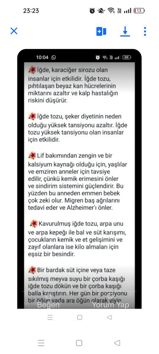 iğde çekirdeği tozu . - Görsel 2