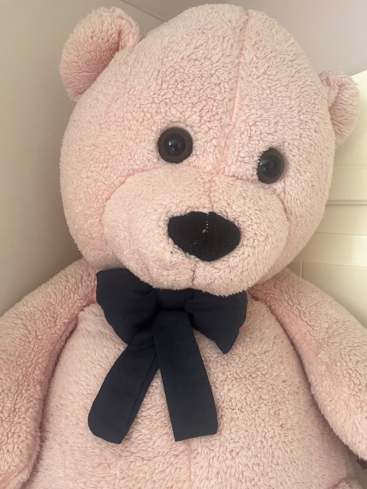 Pembe Peluş Ayı Oyuncak - Görsel 2