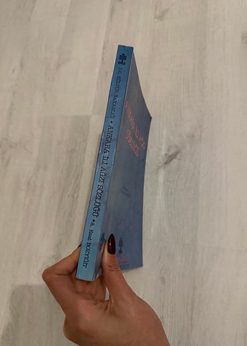 Ankara İli Ağzı Sözlüğü - A. Esat Bozyiğit - Görsel 2