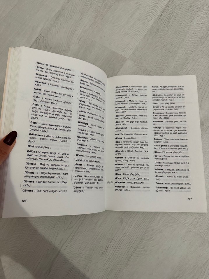 Ankara İli Ağzı Sözlüğü - A. Esat Bozyiğit - Görsel 4