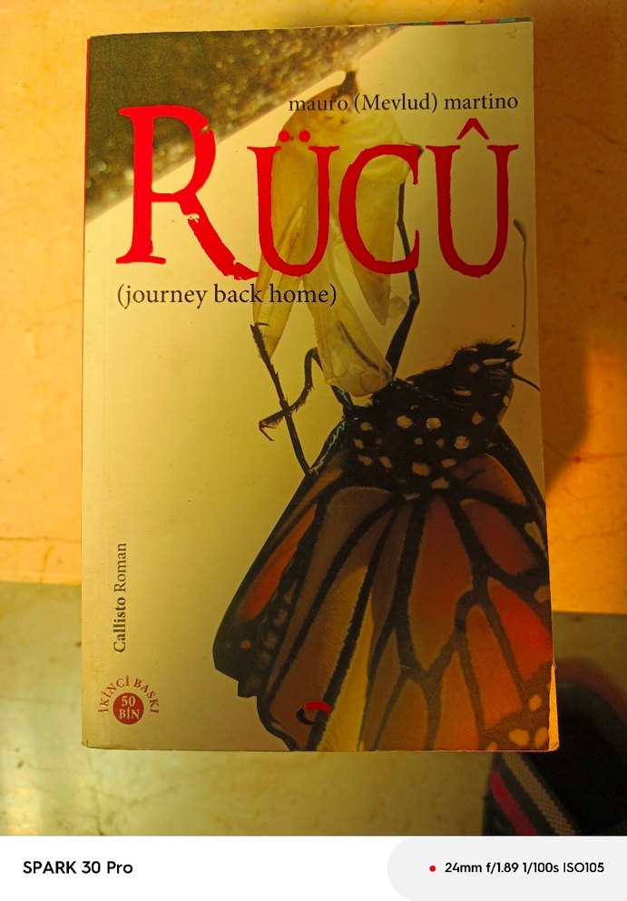 Rücû (Journey Back Home) - Mauro Martino - Görsel 2