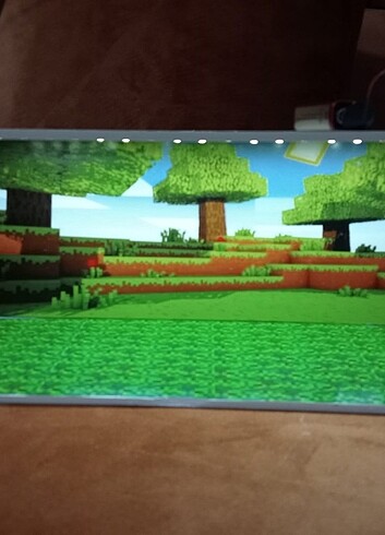 Minecraft diorama 