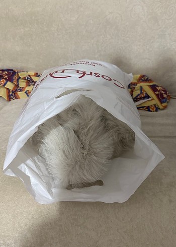 Cosma Kedi ve Köpek Maması Poşeti