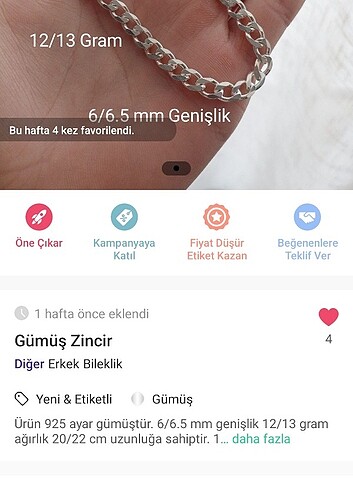 Gümüş Zincir 