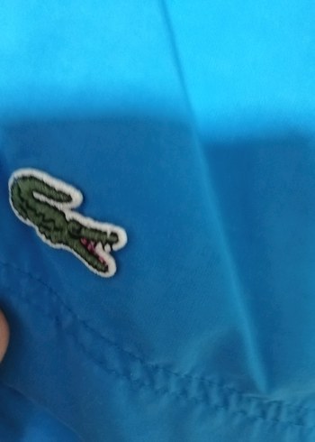 Mavi Mini Erkek Yüzme Şortu - Görsel 5