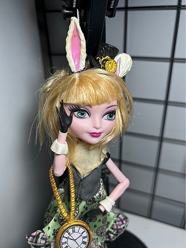  Beden bunnie