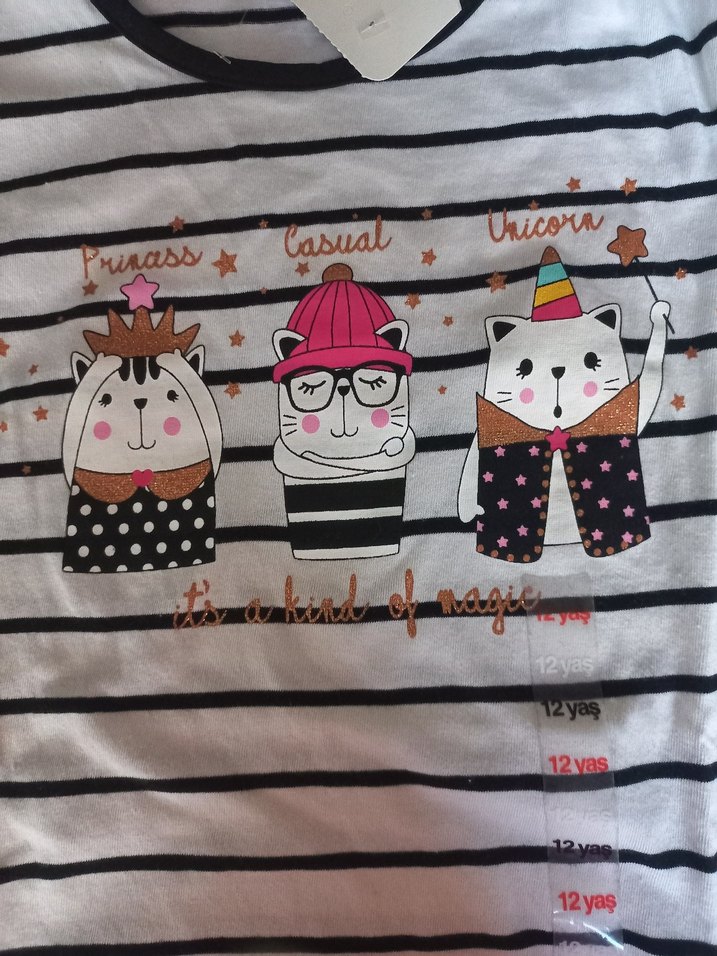 Çok Renkli Baskılı Kedili mevsimlik switshort - Görsel 4