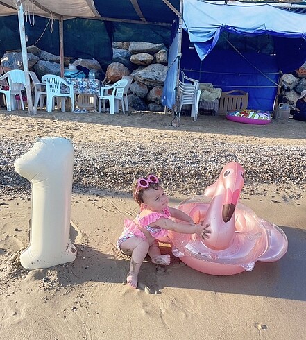 Flamingo deniz simit