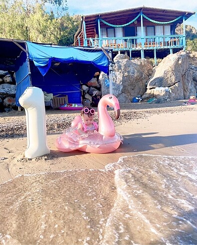 Diğer Flamingo deniz simit