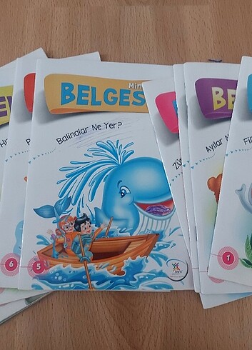  Beden Renk BELGESEL