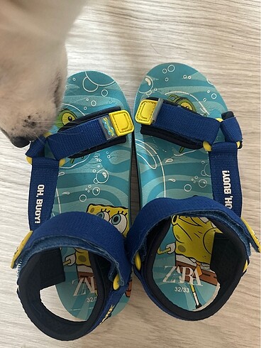 33 Beden Cocuk sandalet zara