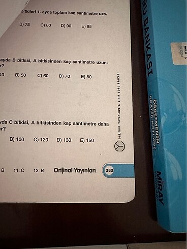 6 tene 9. Sınıf
