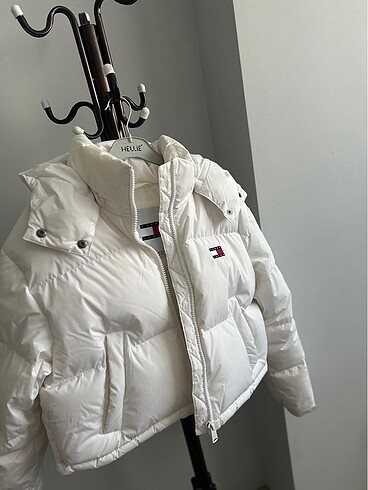 Tommy mont