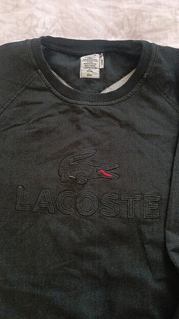 Lacoste Erkek sweatshirt 