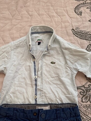 5 Yaş Beden Lacoste gömlek