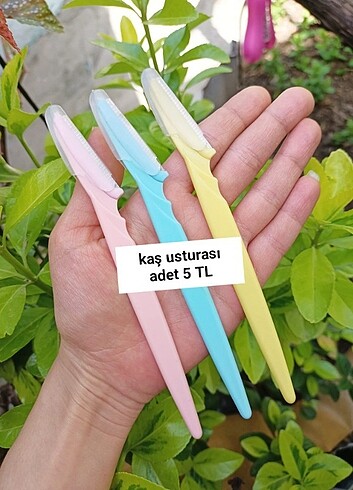 Kaş ustrası 