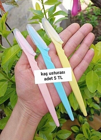Kaş usturası
