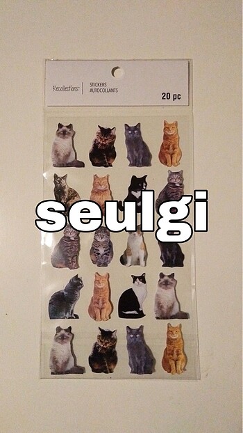 kedi sticker