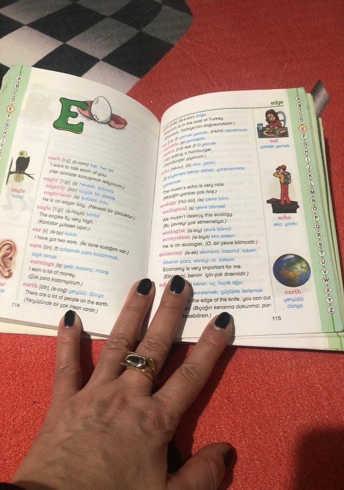 Resimli İngilizce Sözlük Kitabı - Görsel 3