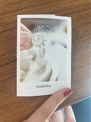 Beden gri Renk Pandora moment