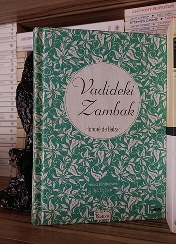 Balzac Vadideki zambak bez ciltli 