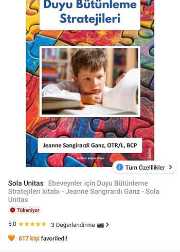 Ebeveynler İçin Duyu Bütünleme Stratejileri Kitabı - Görsel 2