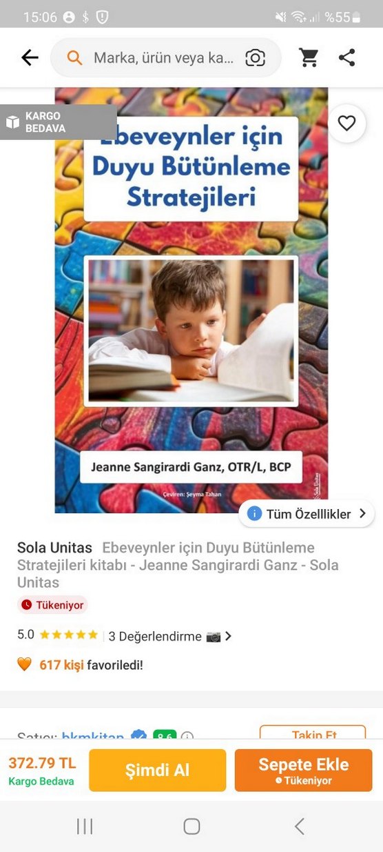 Ebeveynler İçin Duyu Bütünleme Stratejileri Kitabı - Görsel 2