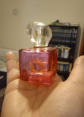 Today absolute parfüm 