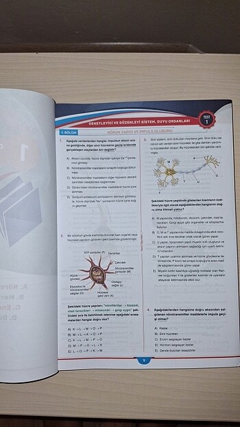  Yanıt yayınları ayt biyoloji test kitabı 