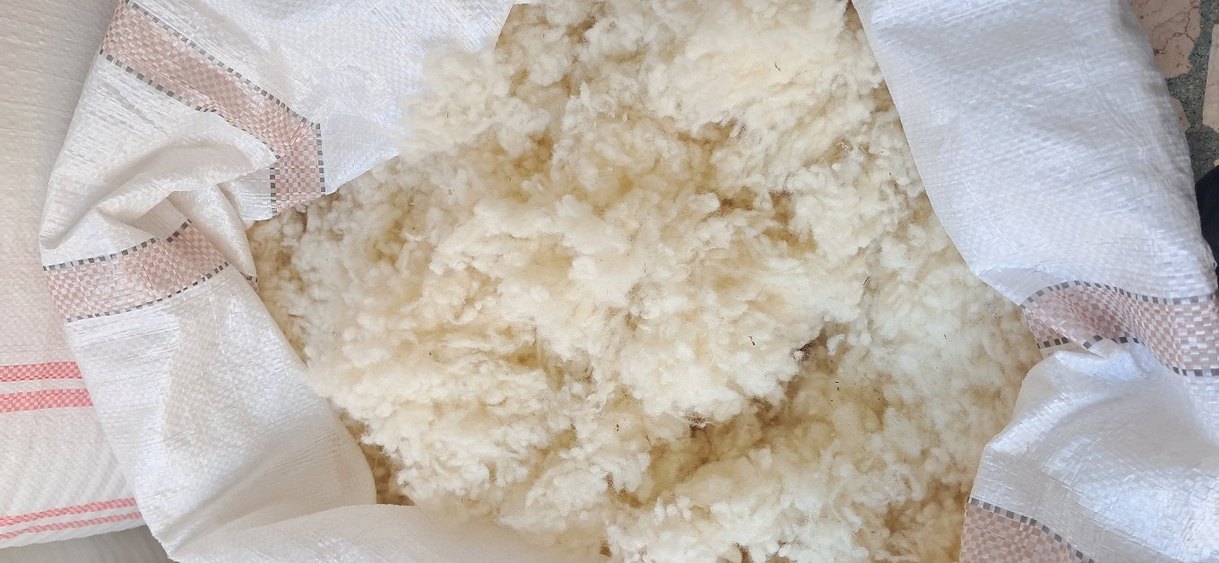 1 adet Merinos Kuzu Yünü Veya Tercihinize Göre Boncuk Yün Yastık - Görsel 3