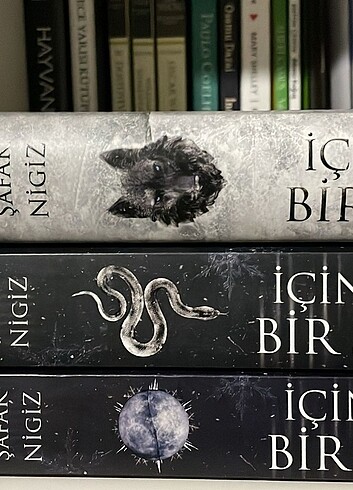  Beden Renk İçinde bir sen 