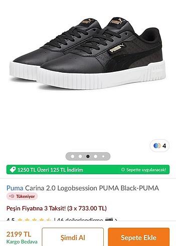 Puma carina