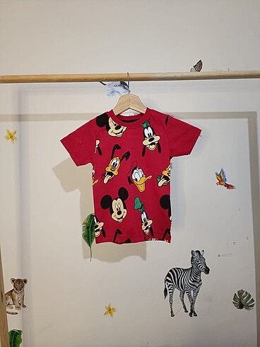 Zara Erkek çocuk şortlu takım