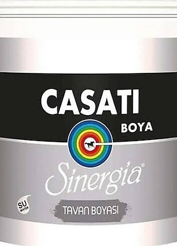 10 kg casati DYO ürünü tavan boyasi 