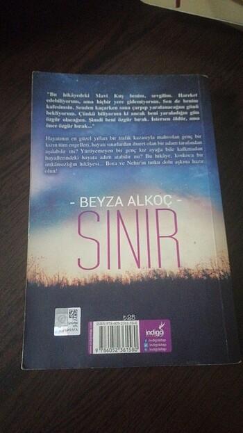  Beden SINIR -BEYZA ALKOÇ- İNDİGO YAYINLARI 