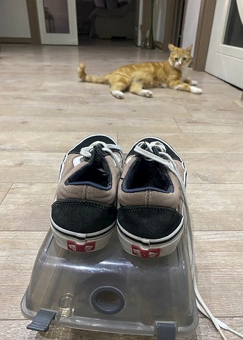 Vans Spor Ayakkabı