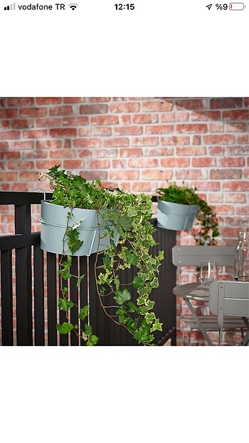 Ikea İkea vitlök saksı