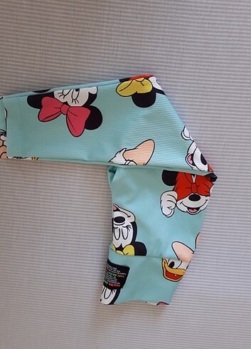 Walt Disney World Çok güzel rengi var