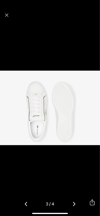 36 Beden Lacoste sneaker