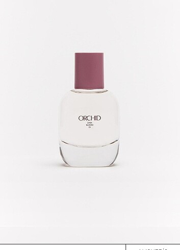 Zara orchid 30 ml parfüm 