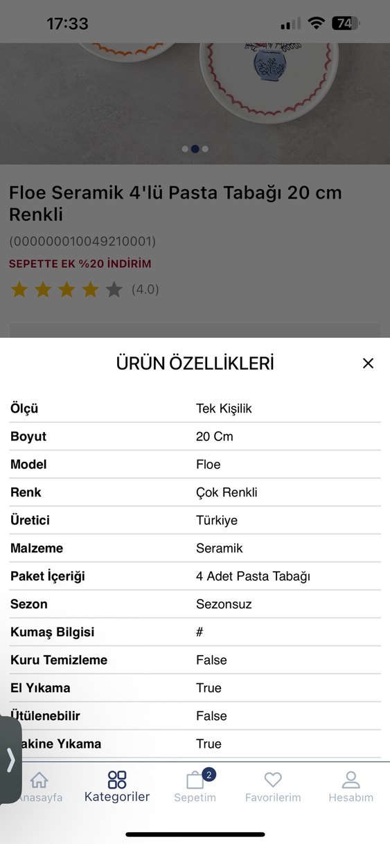 English Home Floe 4'lü Renkli Seramik Pasta Tabağı 20 cm - Görsel 2