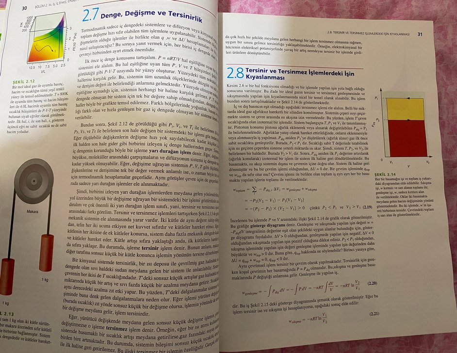 Fizikokimya - Thomas Engel & Philip Reid - Görsel 2