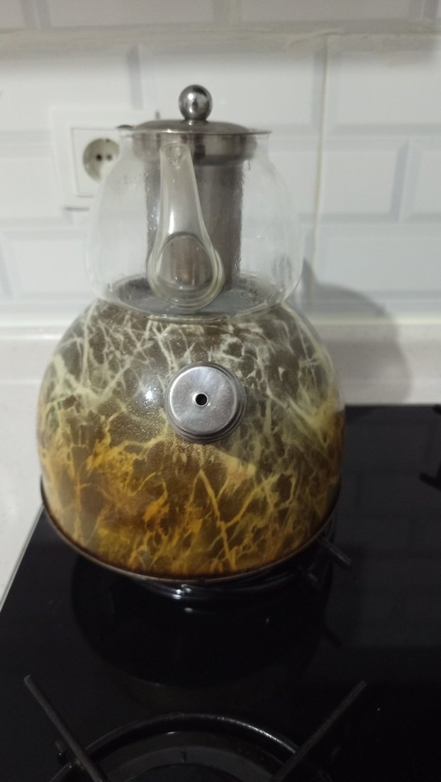 Cam ve Camel Renkli Çaydanlık - Görsel 5