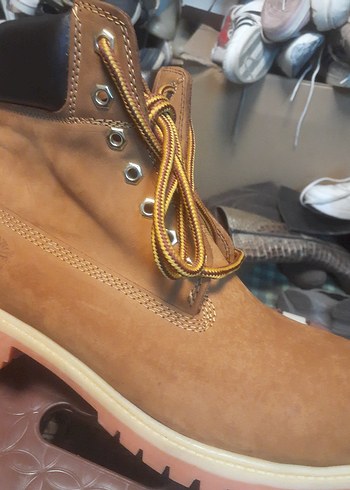 tarçın Bayan erkek bot - Görsel 3