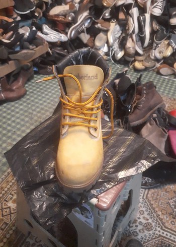 Timberland 40