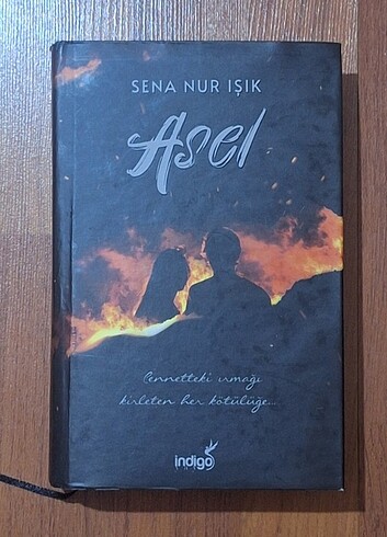 Asel sena nur isik