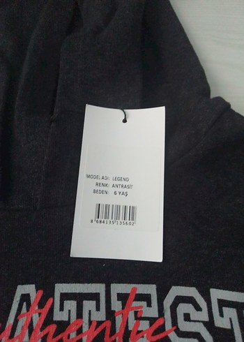 Gri Erkek Çocuk Kapüşonlu Sweatshirt ve Eşofman Takımı - Görsel 3