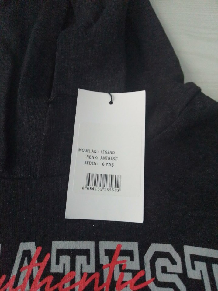 Gri Erkek Çocuk Kapüşonlu Sweatshirt ve Eşofman Takımı - Görsel 3