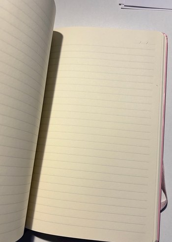 İKİLİ AJANDA - Görsel 6